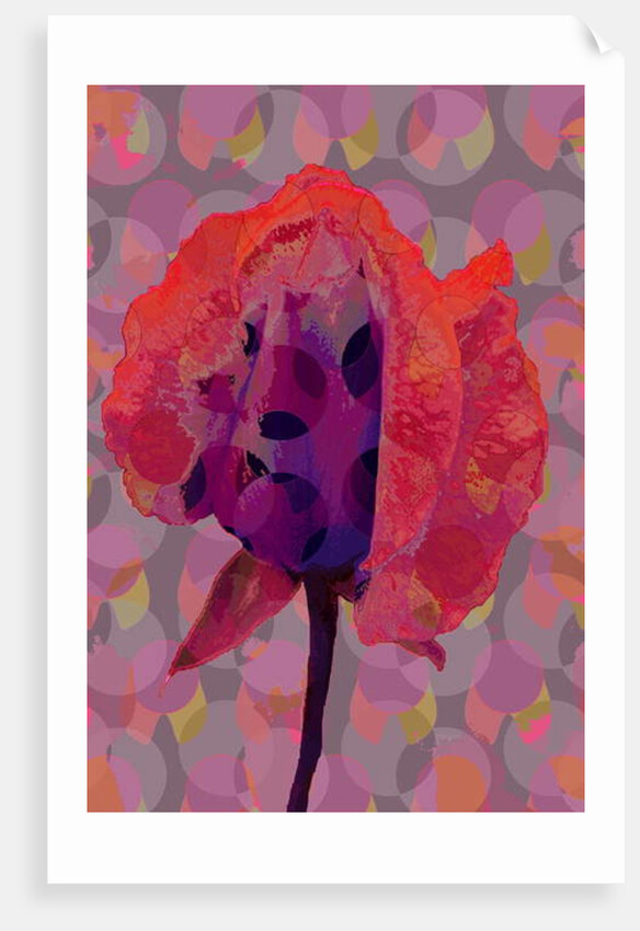 Tea Rose 3, 2010 by Scott J. Davis