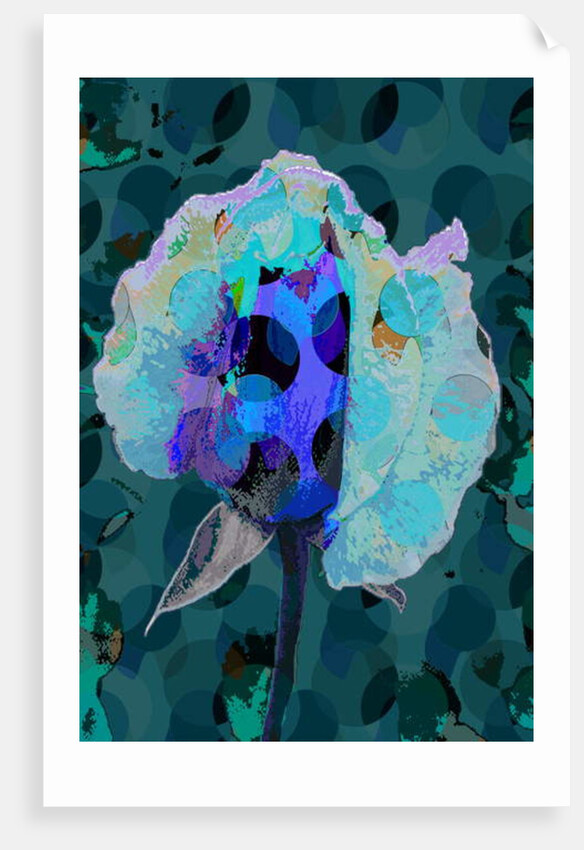 Tea Rose 5B, 2010 by Scott J. Davis