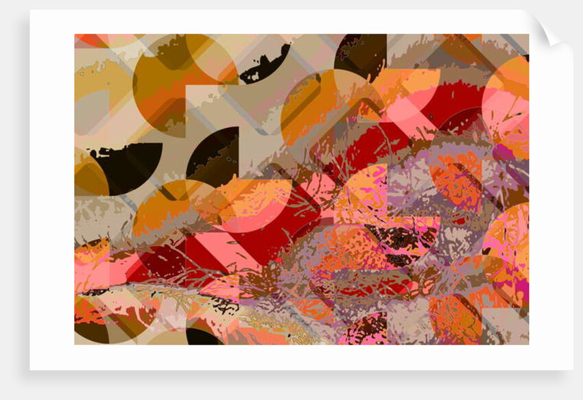 C26, 2010 by Scott J. Davis