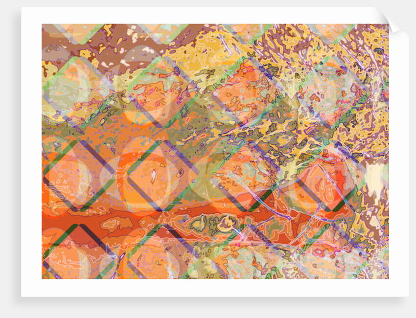 Ocean Forest, 2009 by Scott J. Davis