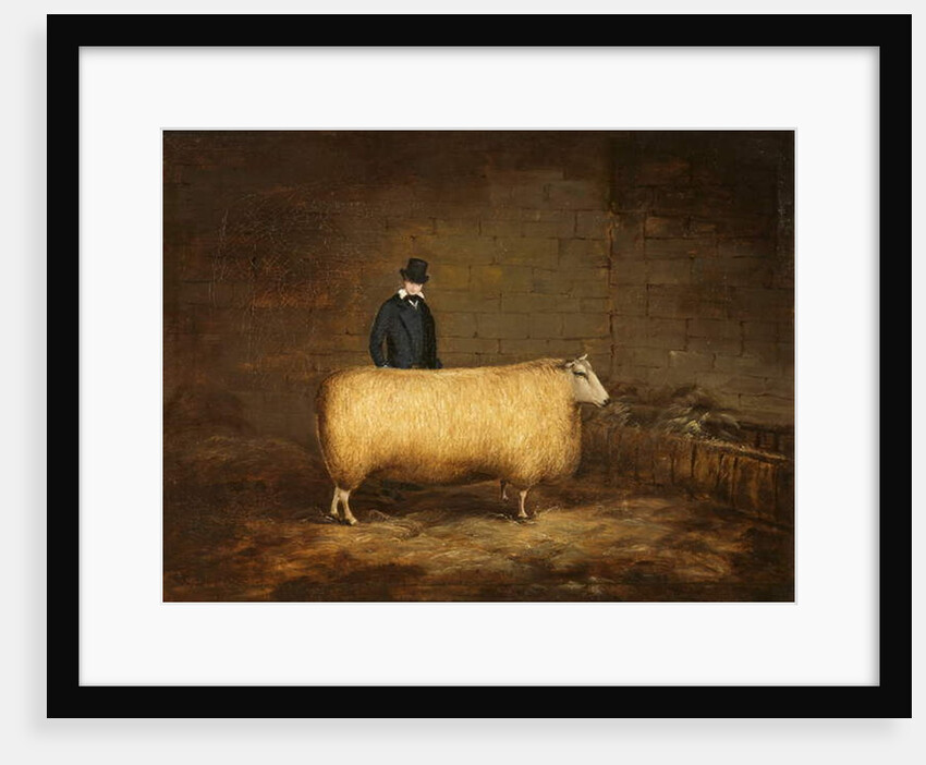 A Sheep and Its Owner by School English