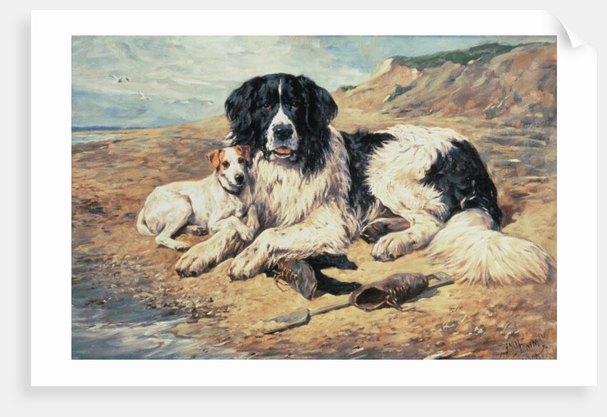 Dogs Watching Bathers, 1900 by John Emms