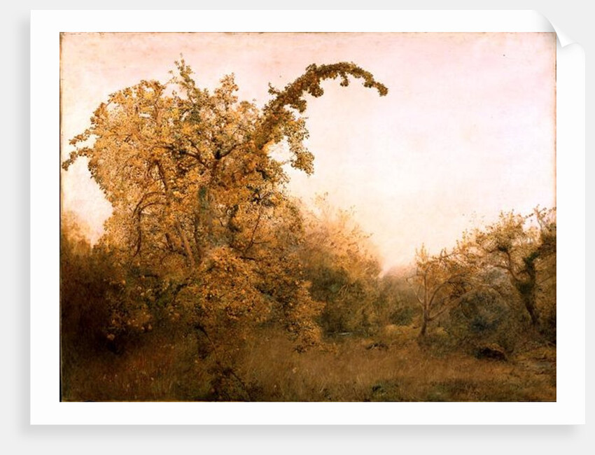 The Old Pear Tree by John William North