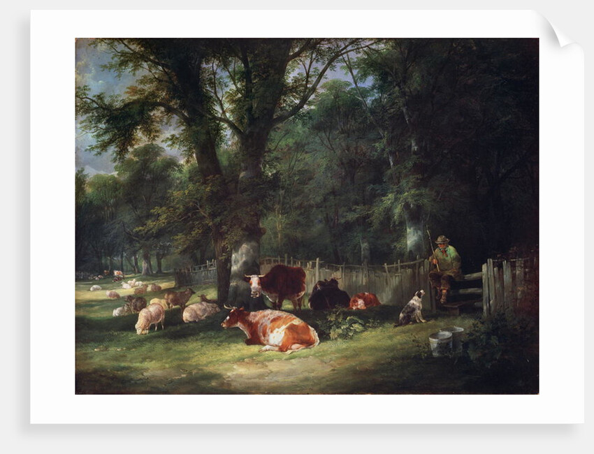 A Shady Corner by William Snr. Shayer