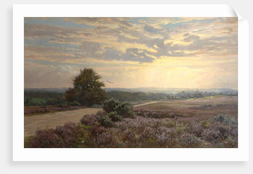 Burley Road by Frederik Golden Short