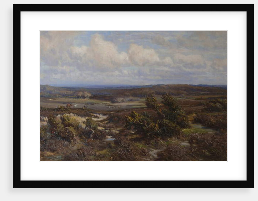 New Forest by Frederik Golden Short