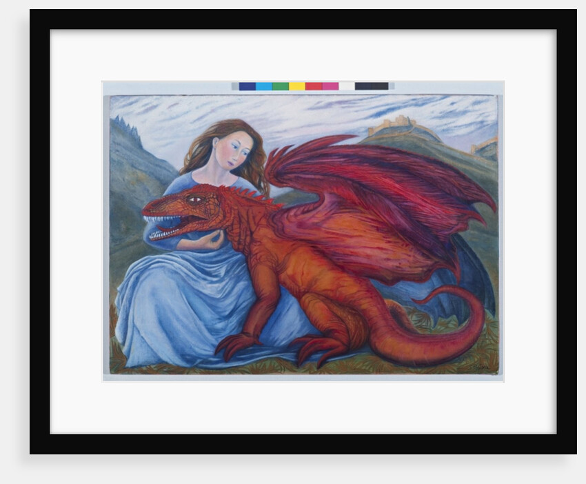 In the absence of St.George, 2009 by Silvia Pastore