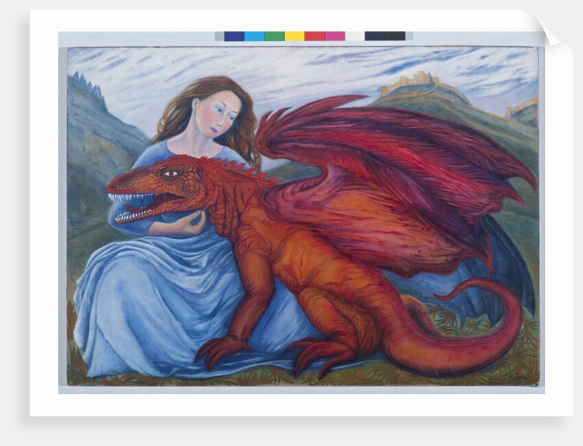 In the absence of St.George, 2009 by Silvia Pastore