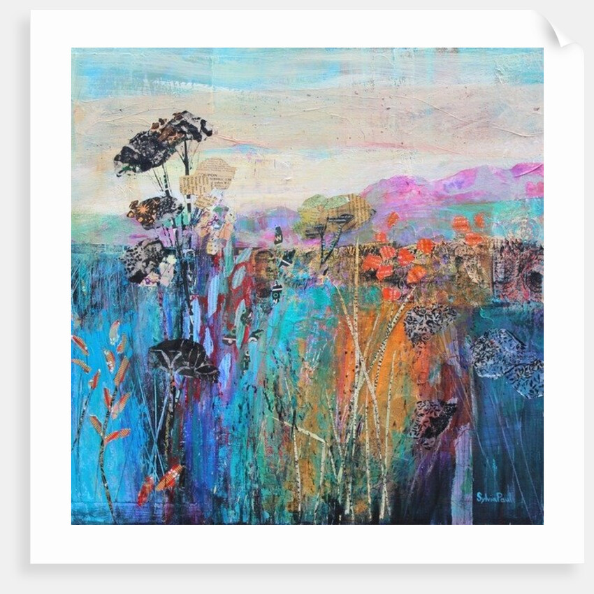 Last Days of Summer, 2015 by Sylvia Paul