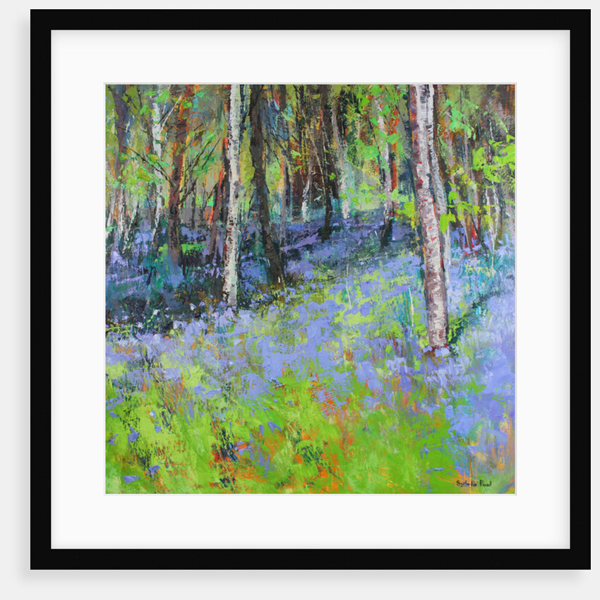 Bluebells and Birches, 2017 by Sylvia Paul