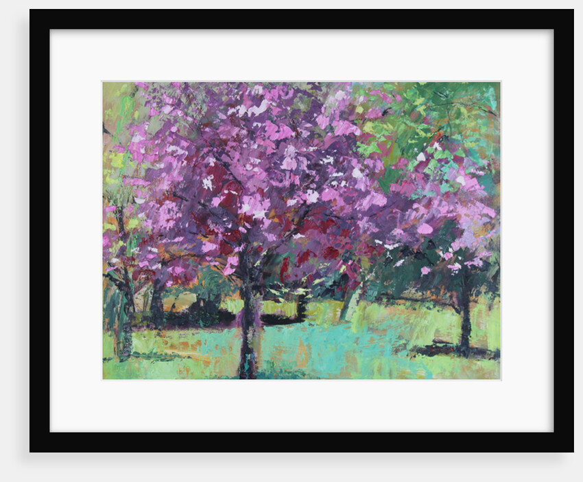 Blossom in the Park, 2016 by Sylvia Paul