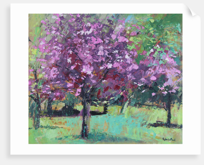 Blossom in the Park, 2016 by Sylvia Paul