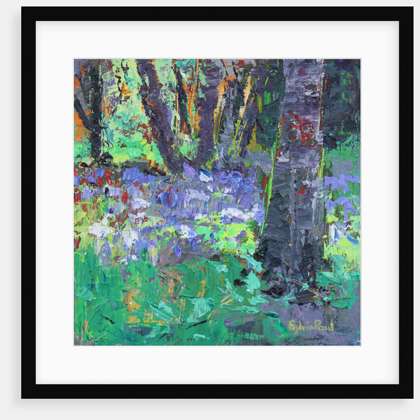 Bluebell Patch by Sylvia Paul