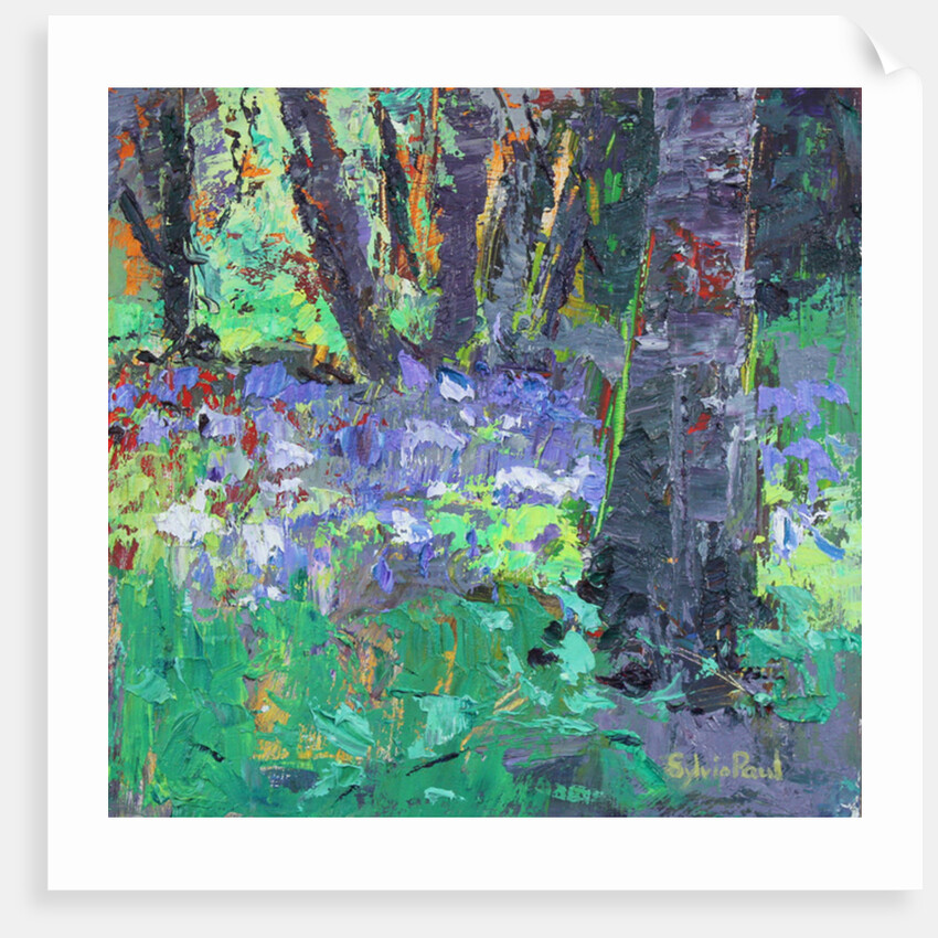 Bluebell Patch by Sylvia Paul