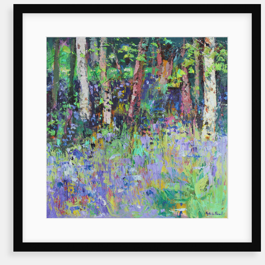 Bluebell Time, 2017 by Sylvia Paul