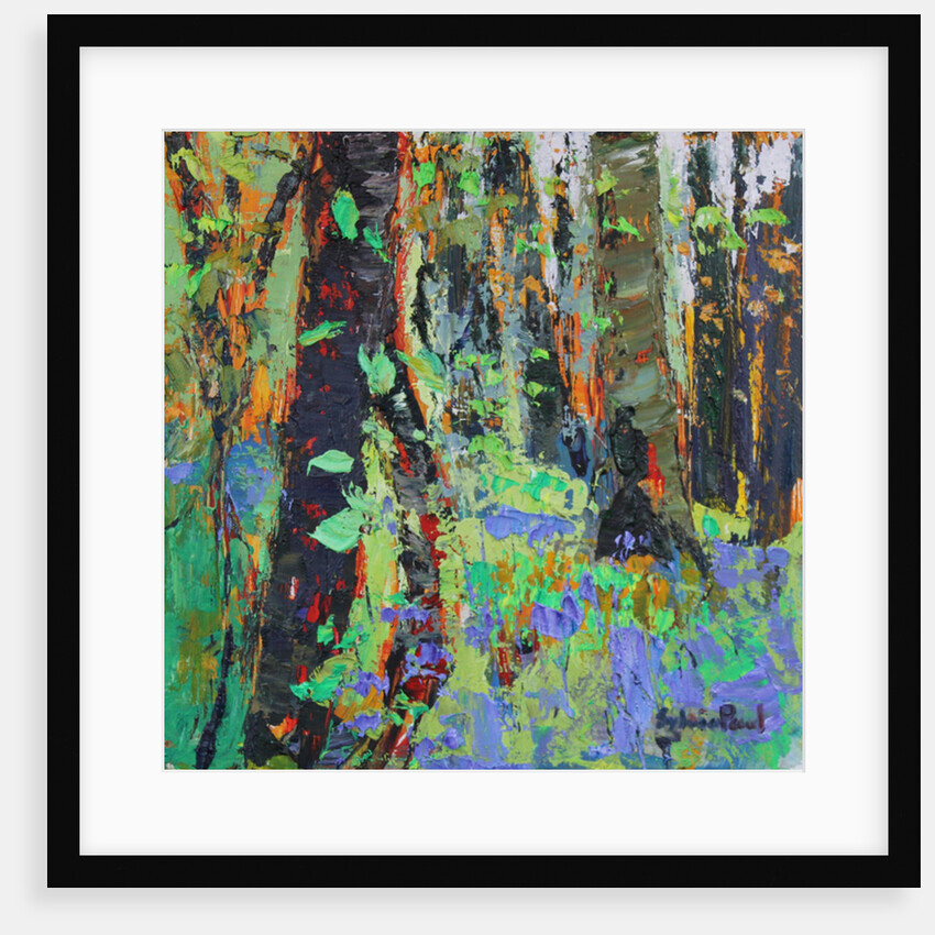 A Glimpse of Spring, 2017 by Sylvia Paul