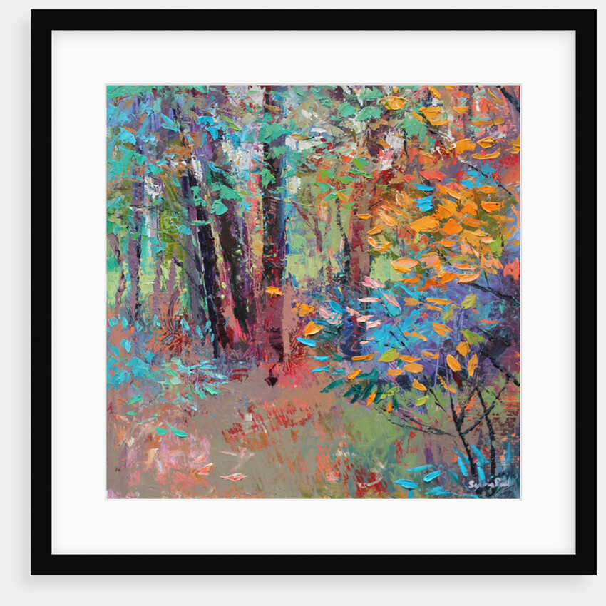 Capturing the Colour, 2016 by Sylvia Paul