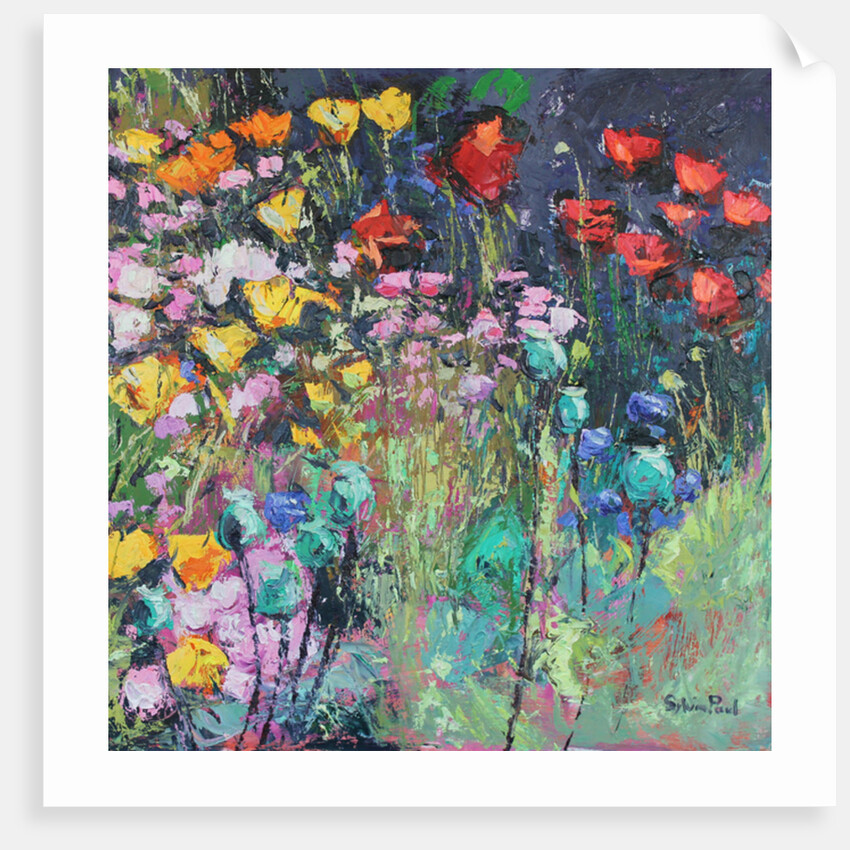 Summer Meadow Flowers, 2017 by Sylvia Paul