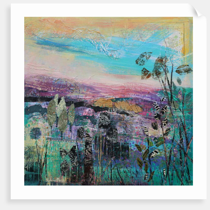 Summer Shadows, 2017 by Sylvia Paul