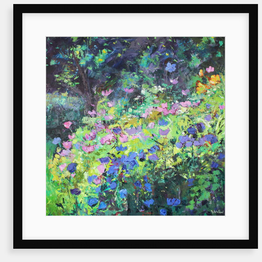 Play of Light, 2017 by Sylvia Paul