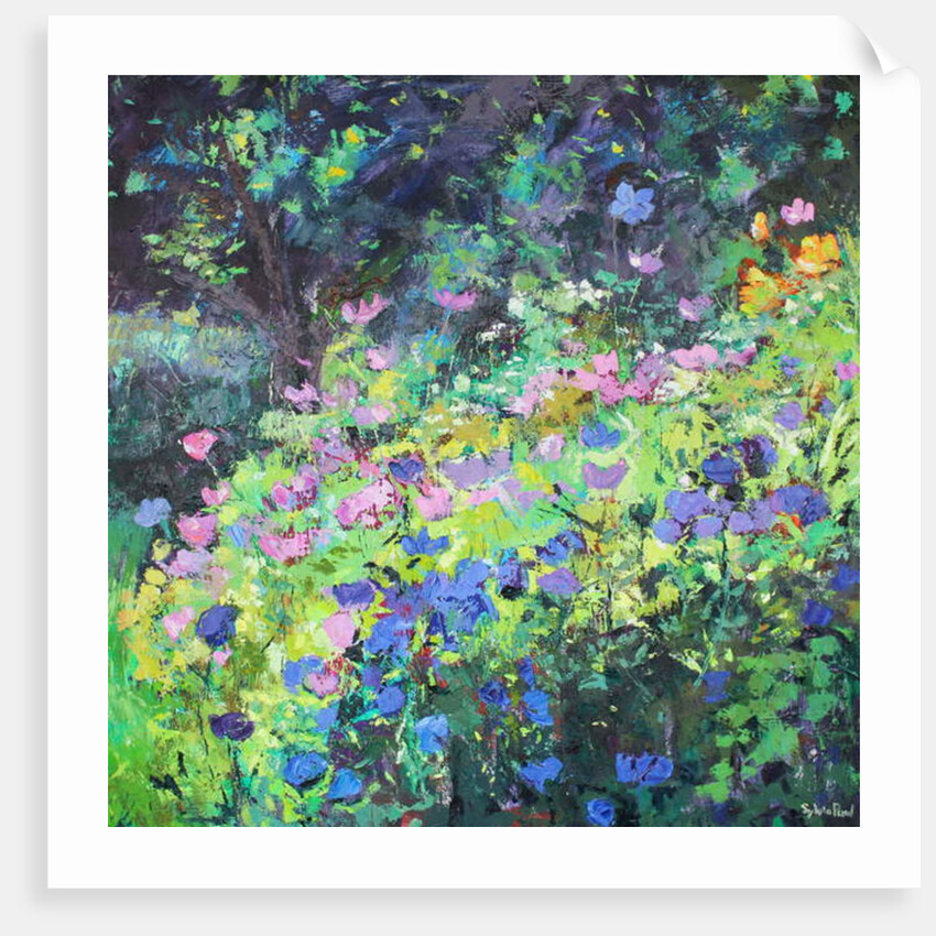 Play of Light, 2017 by Sylvia Paul