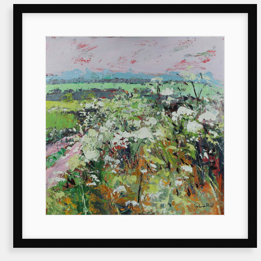 Footpath in Early summer by Sylvia Paul