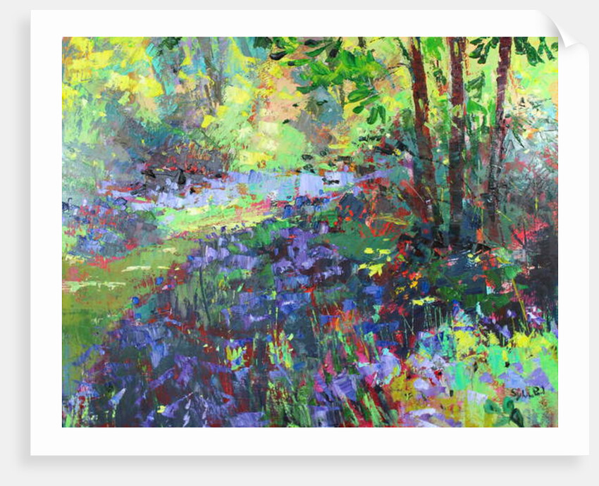 Path Through the Bluebells, 2018 by Sylvia Paul