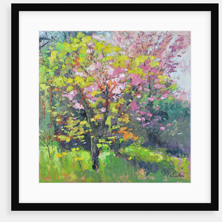 Blossom Delight, 2019 by Sylvia Paul