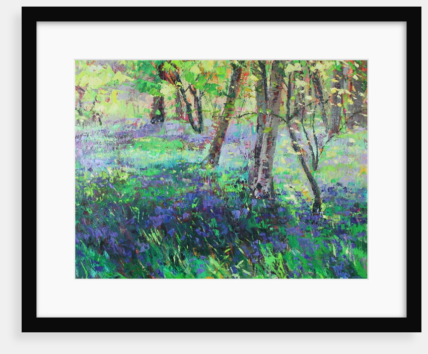 Sunshine and Bluebells, 2019 by Sylvia Paul