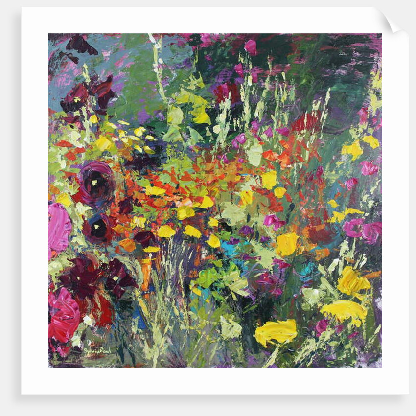 A Splash of Colour in the Garden, 2019 by Sylvia Paul