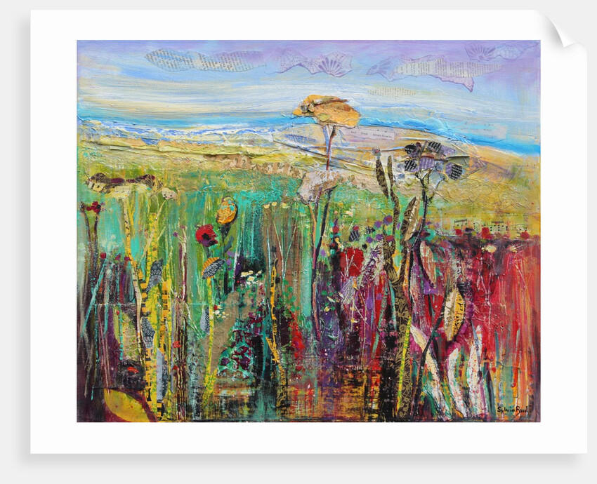 Wild and Free 2013 by Sylvia Paul