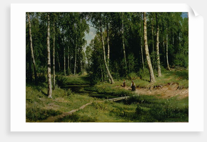 In The Birch Tree Forest, 1883 by Ivan Ivanovich Shishkin