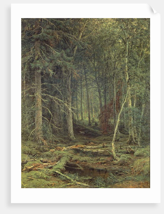 Swamp in the Forest, Autumn, 1872 by Fedor Aleksandrovich Vasiliev