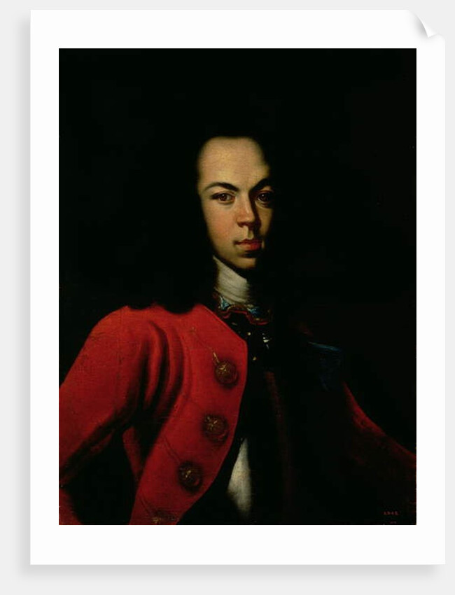 Portrait of the Tsarevich Alexei Petrovich 1710 by Gottfried Danhauer