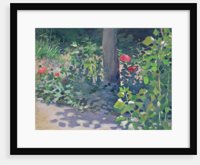 Study of Poppies in the Garden, 1894 by Viktor Elpidiforovich Borisov-Musatov