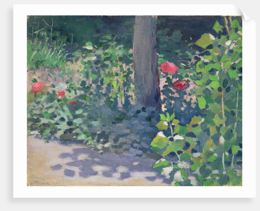 Study of Poppies in the Garden, 1894 by Viktor Elpidiforovich Borisov-Musatov