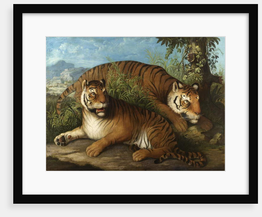 Royal Bengal Tigers by Johan Wenzel Peter