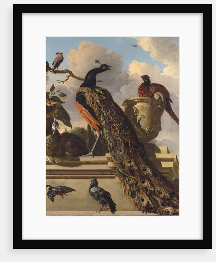 Birds in the Park by Melchior de Hondecoeter
