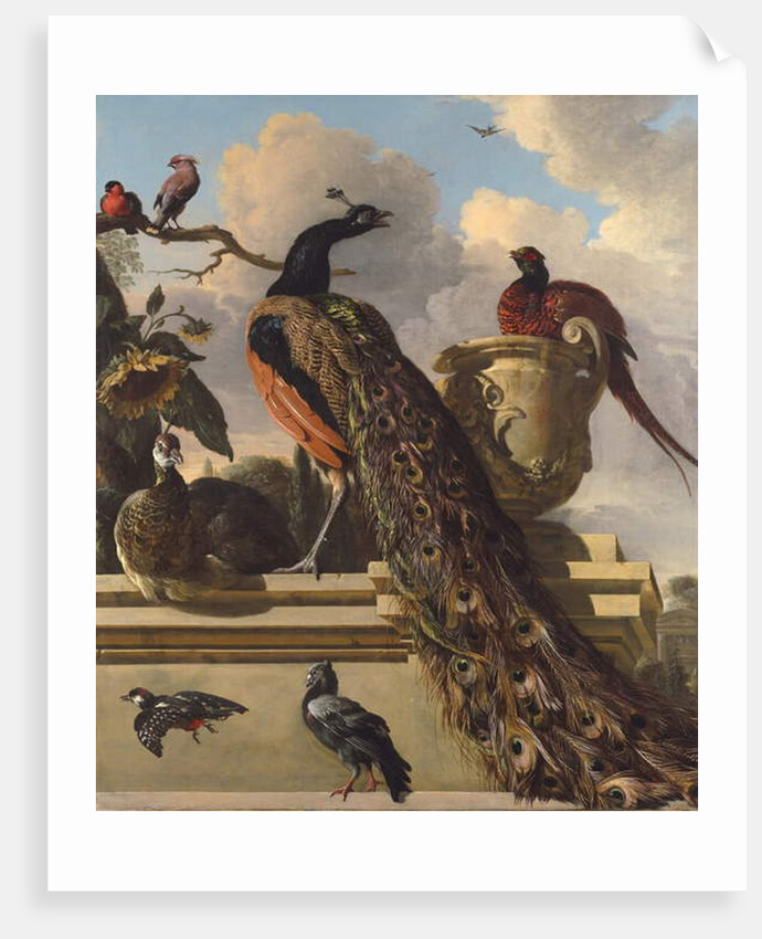 Birds in the Park by Melchior de Hondecoeter