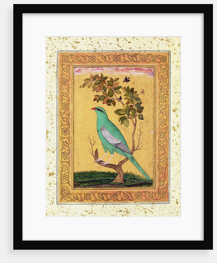 Green Bird, Mughal by Indian School