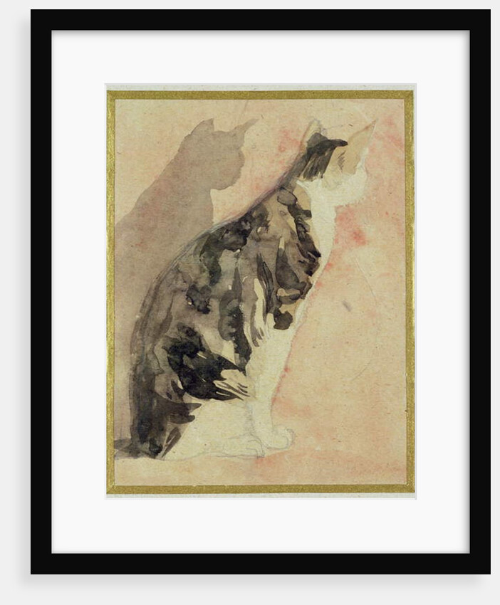 Study of a Cat by Gwen John