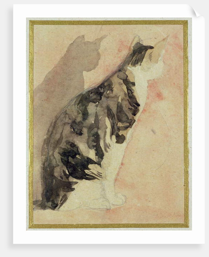 Study of a Cat by Gwen John