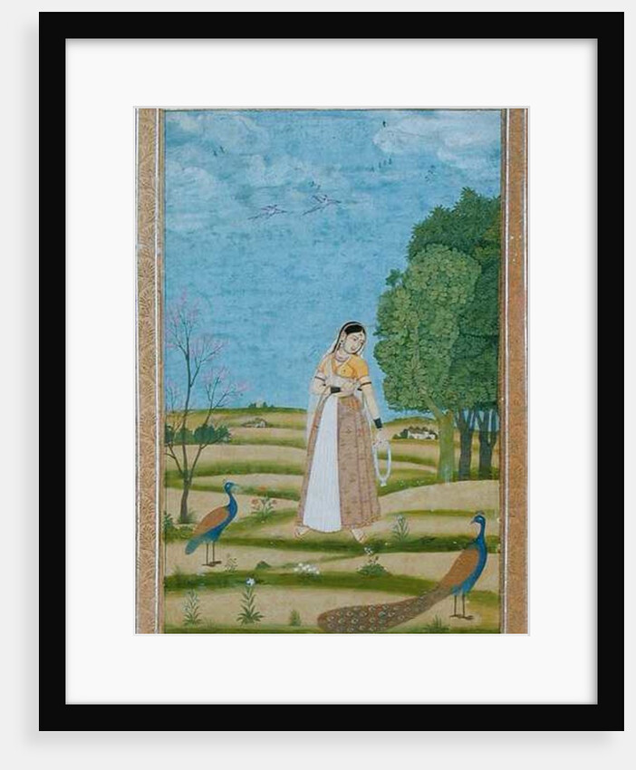 Lady with peacocks by Mughal School