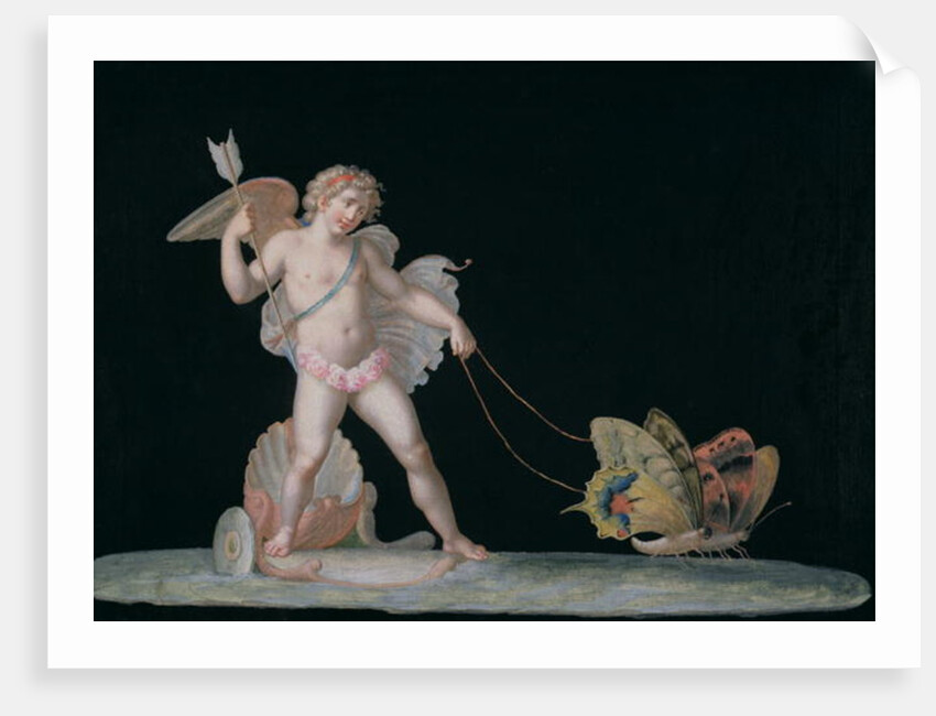 Cupid led by butterflies by Michelangelo Maestri