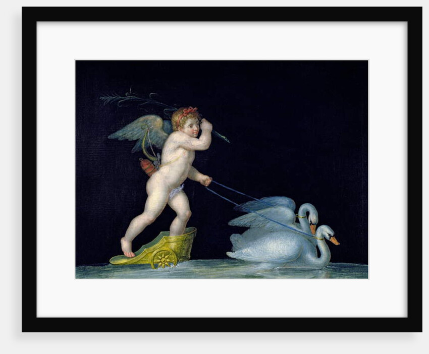 Cupid being led by a pair of swans by Michelangelo Maestri