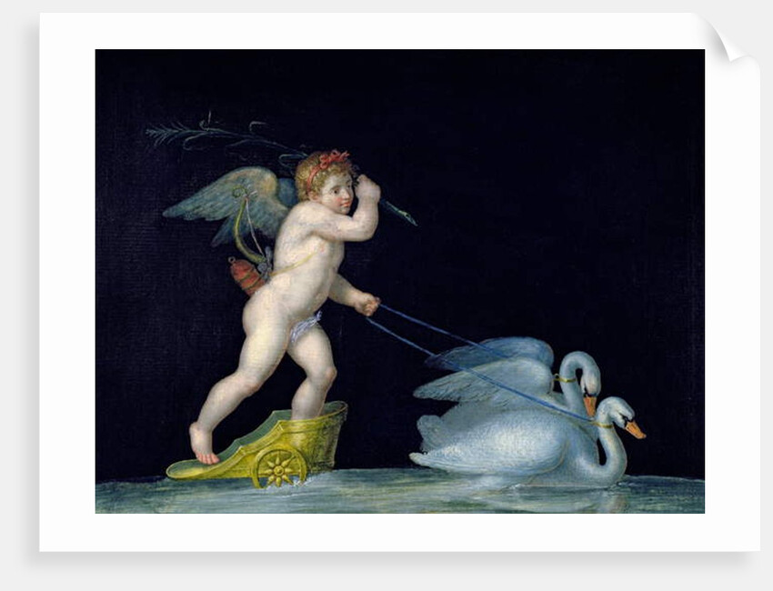 Cupid being led by a pair of swans by Michelangelo Maestri