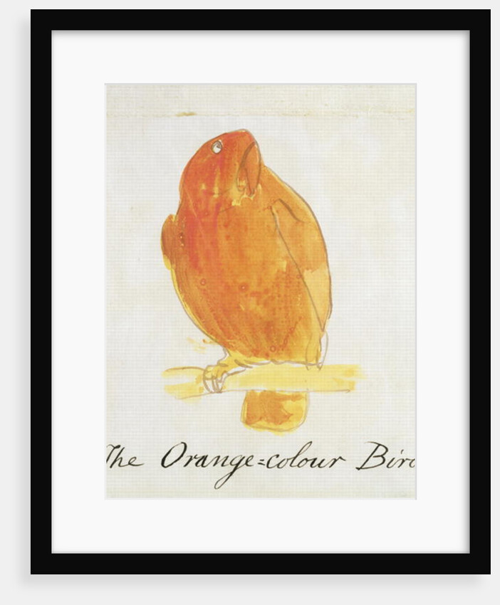 The Orange Colour Bird by Edward Lear