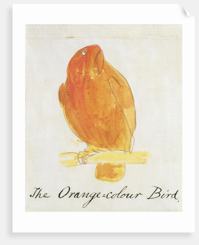 The Orange Colour Bird by Edward Lear