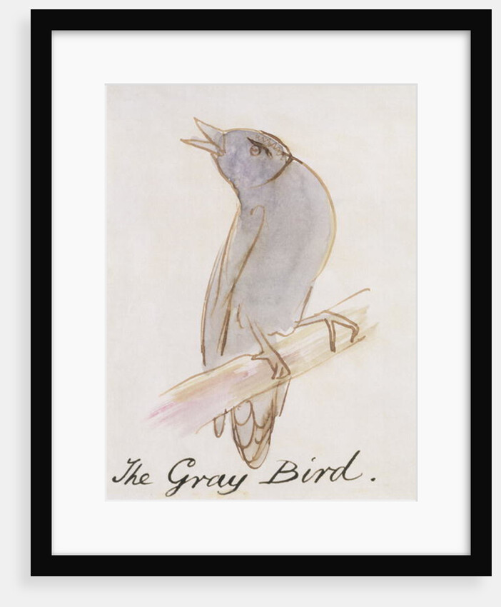 The Gray Bird by Edward Lear