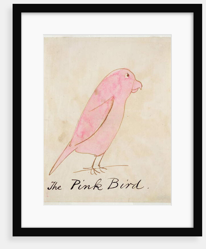 The Pink Bird by Edward Lear